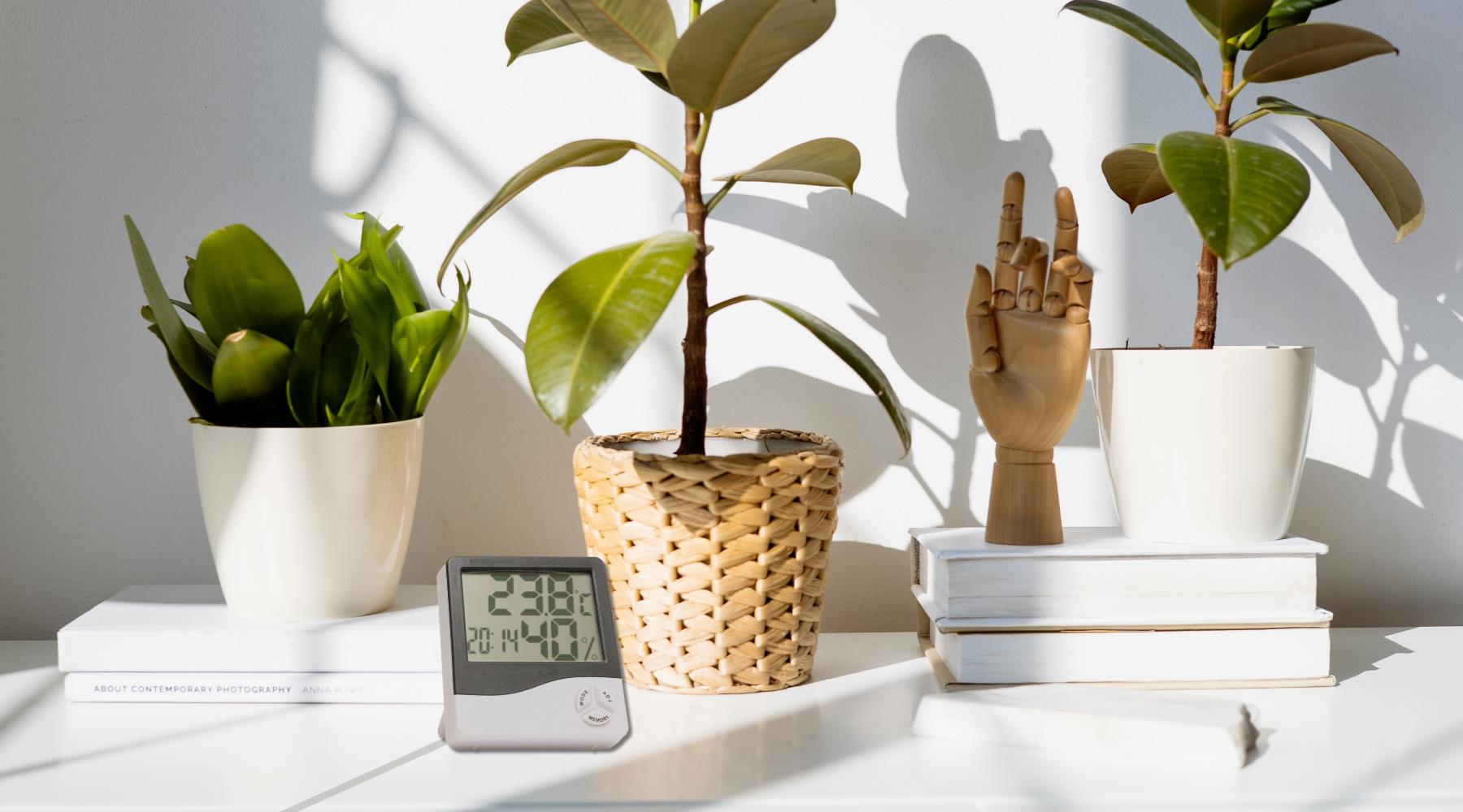 A Hygrometer on the table monitors the home humidity level
